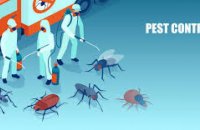 PEST CONTROL AND FUMIGATION IN RIETVALLEIRAND