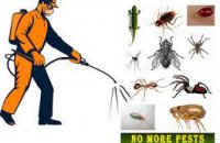 Eco-Pest Control 